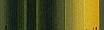 944_5-Dandelion r12.jpg